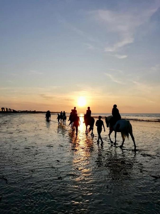 Le Cocon De Nacre - A 300M De La Plage - Wifi Courseulles-sur-Mer Exteriér fotografie